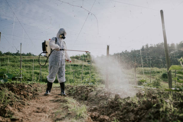 Best Ant Control Services  in , SD