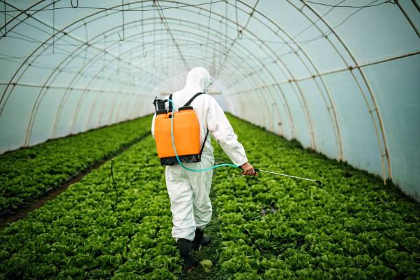 Best Pest Control for Businesses  in , SD
