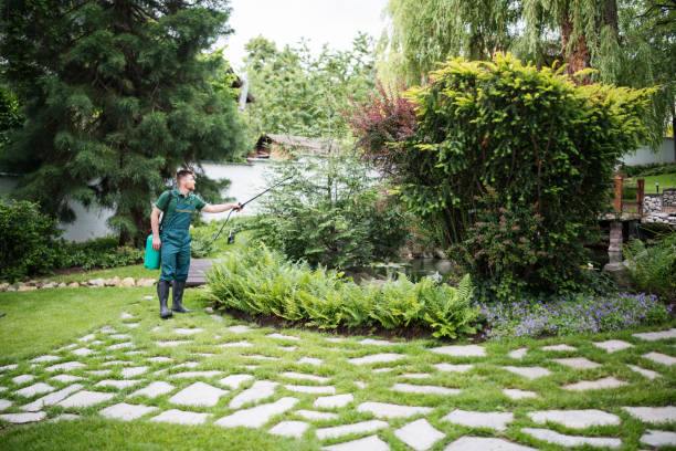 Best Wildlife Control Services  in , SD