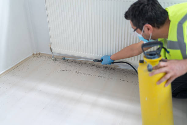 Best Pest Inspection Near Me  in , SD