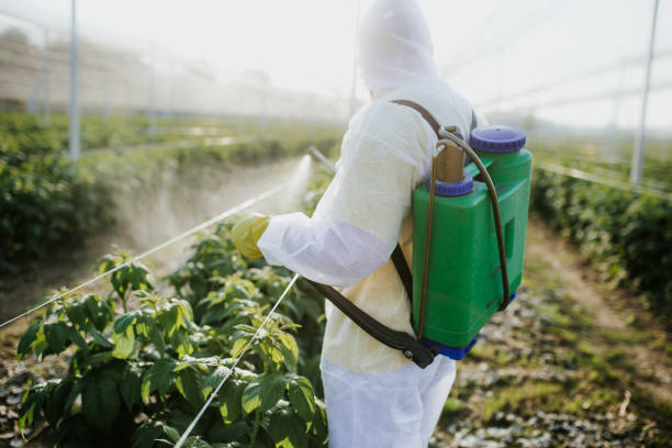 Best Pest Control Treatment  in , SD